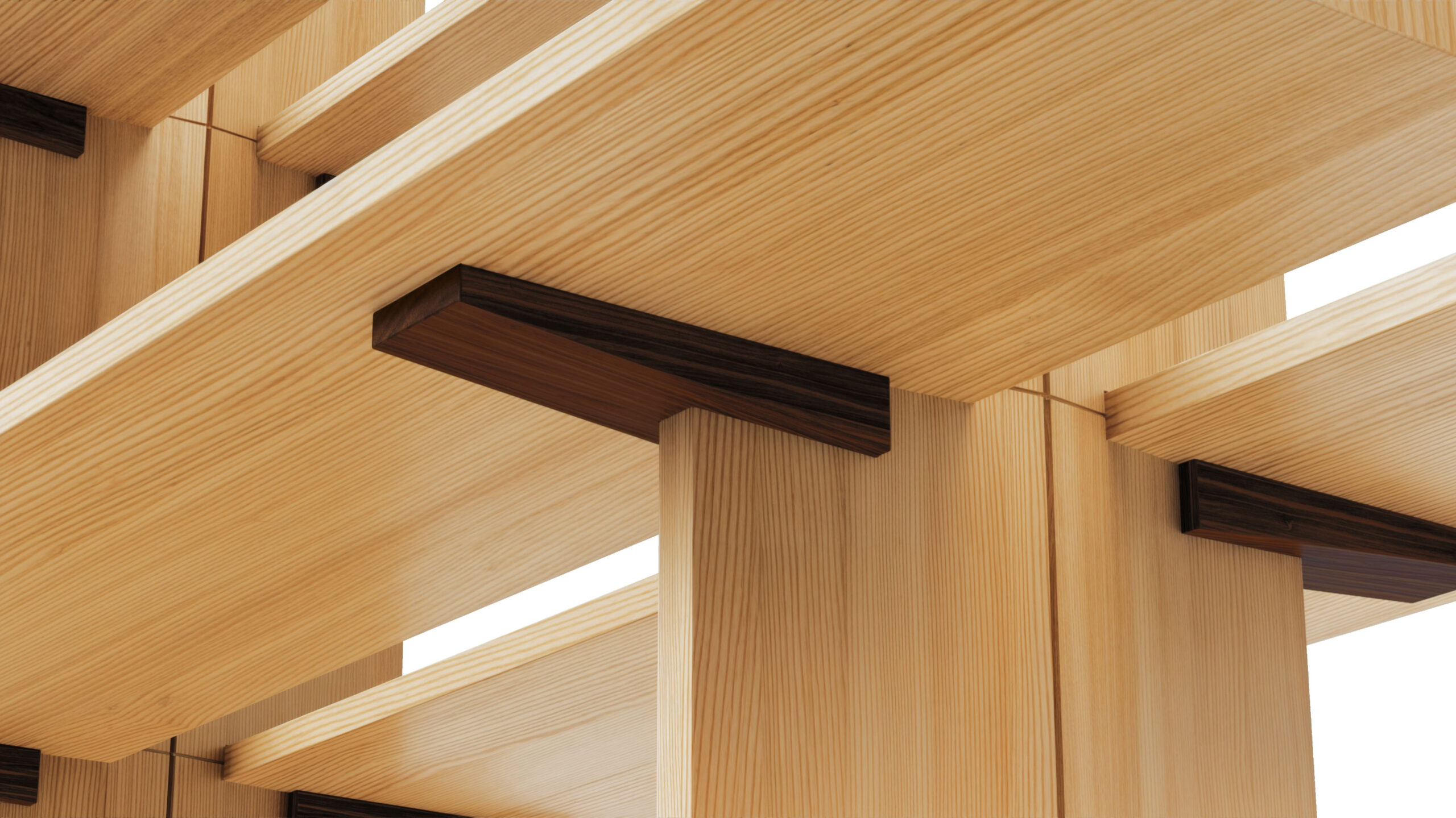 FF. Spine | Formafantasma