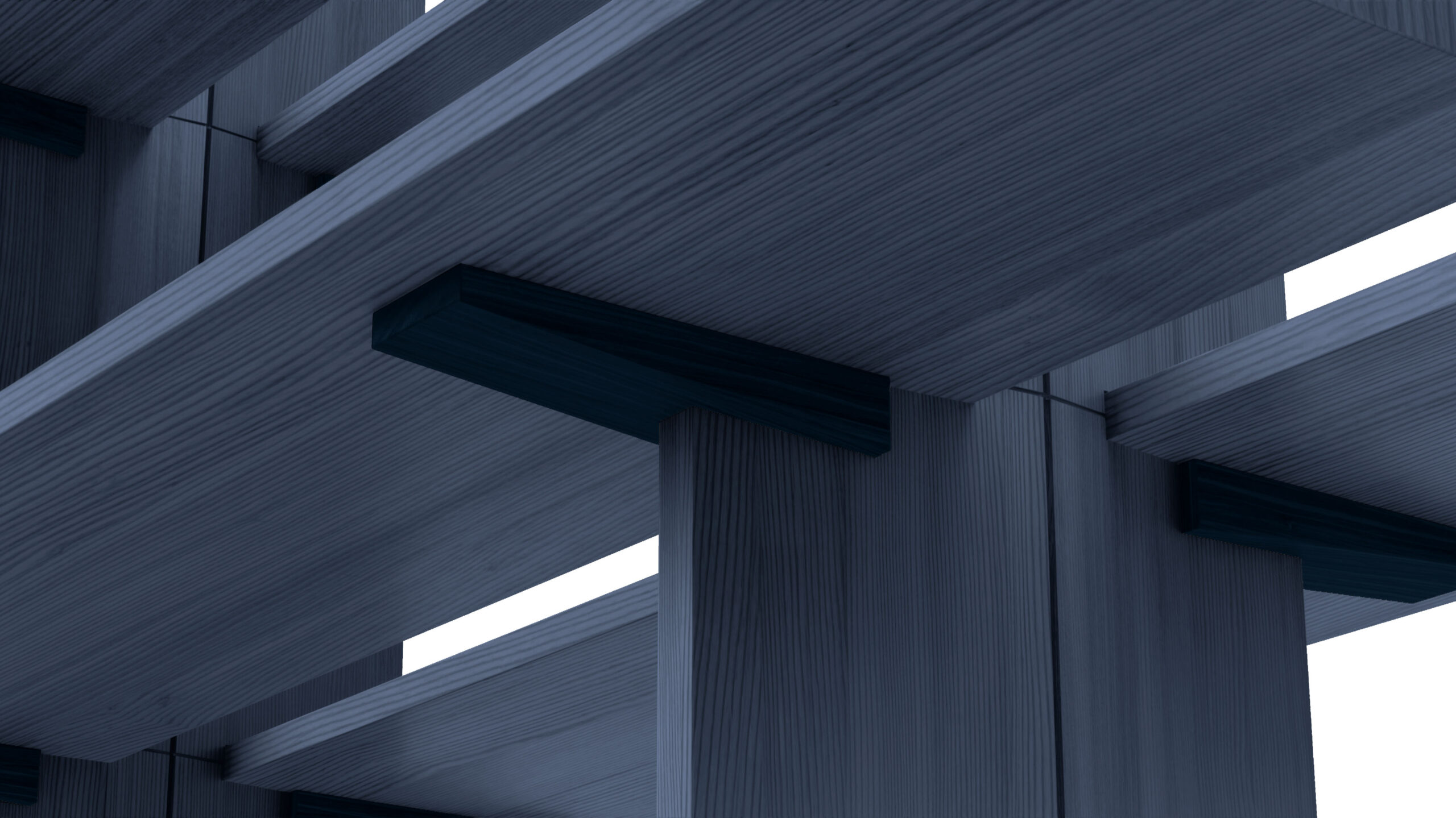 FF. Spine | Formafantasma