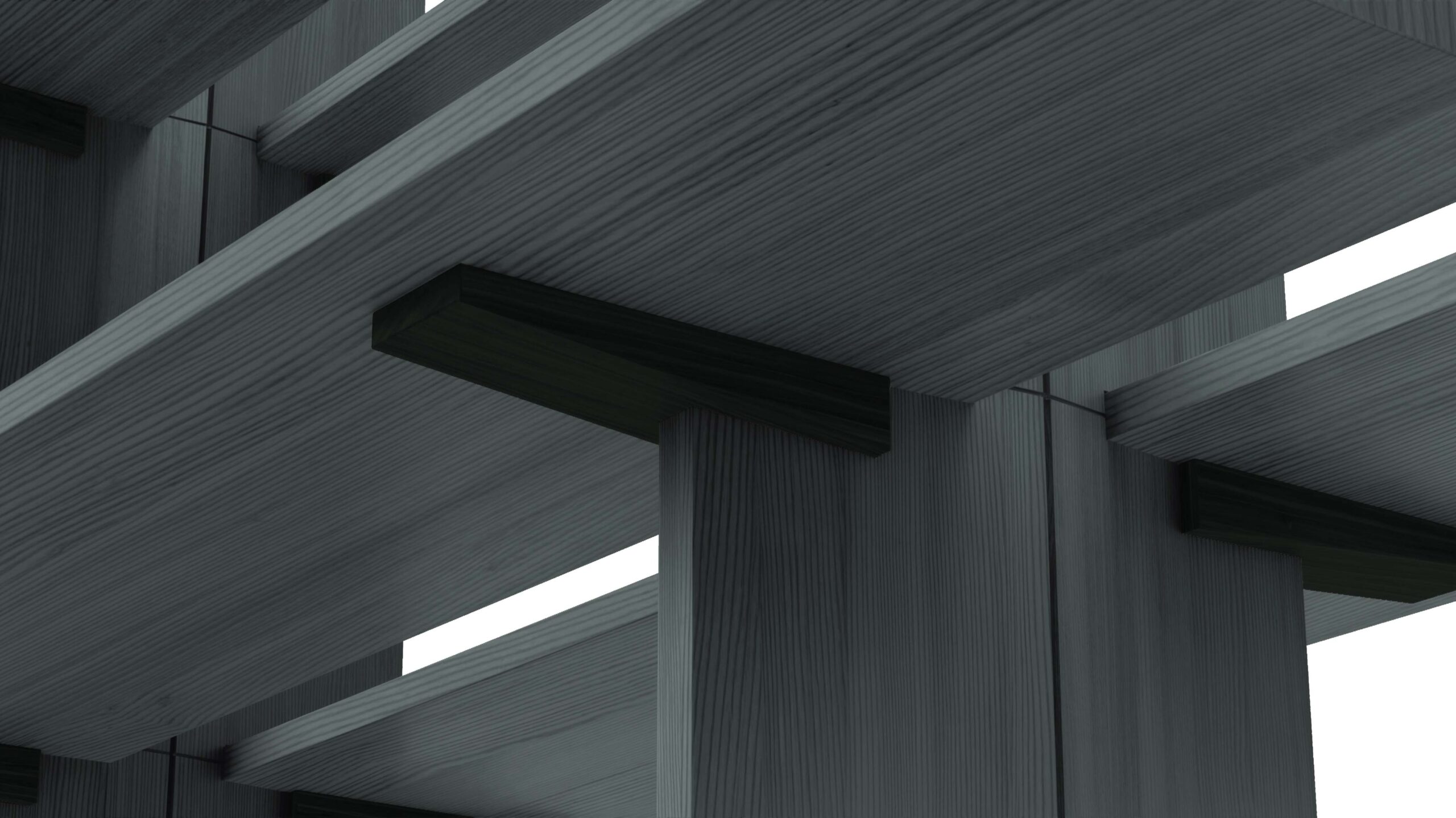 FF. Spine | Formafantasma