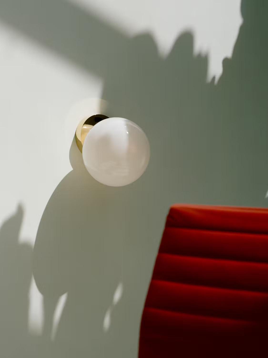 Tip of the Tongue Wall and Ceiling